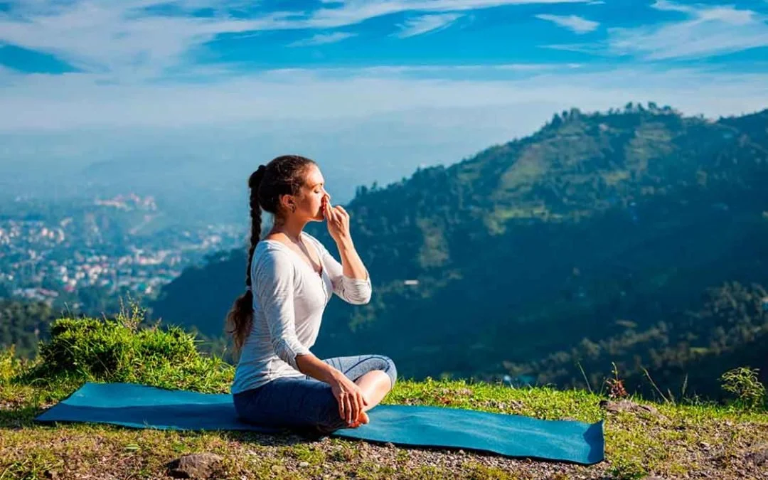 Despierta Tu Energía Vital y Comienza el 2026 en Equilibrio