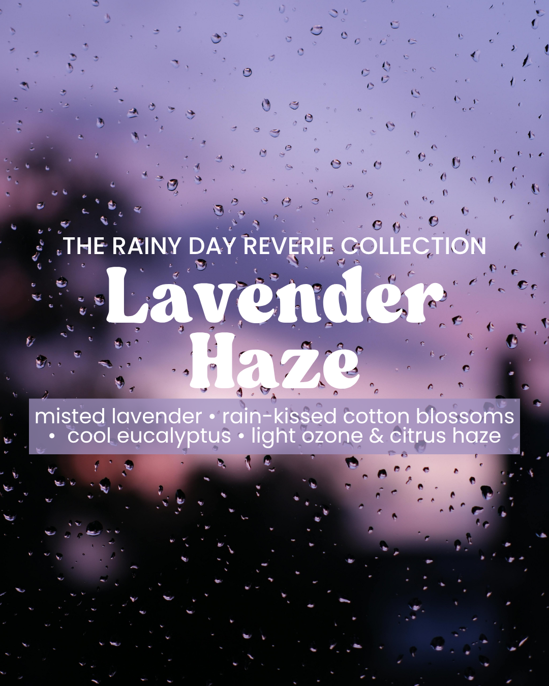 Lavender Haze