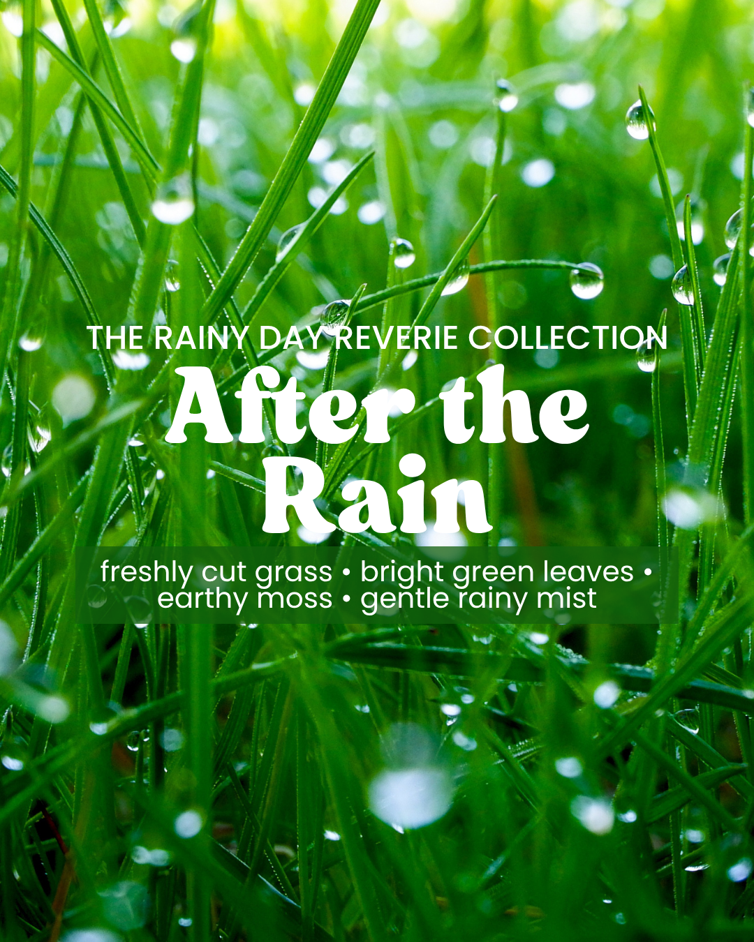 Copy of The First Pour Scent Descriptions.png