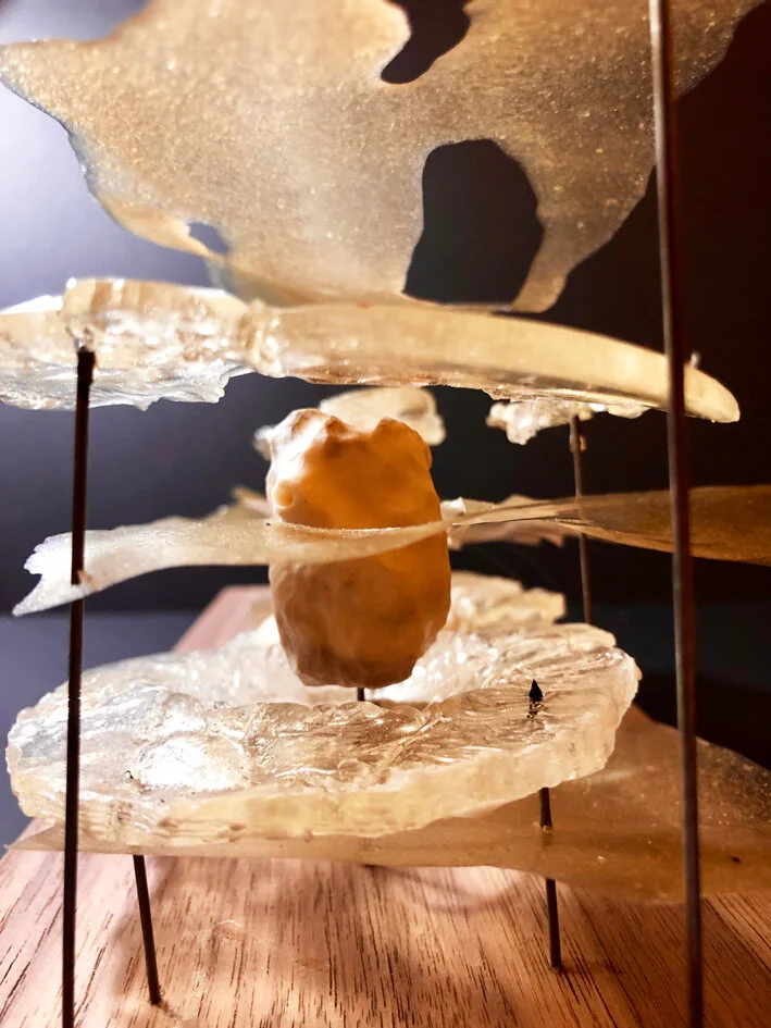 Model of a chair that forces the inhabitant to occupy the available space inside of a whale.