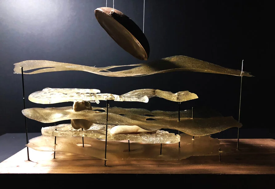 When we read Herman Melville’s great work, ‘Moby Dick’ there is an allusion to the biblical story of Jonah and the Whale. We always perceive the whale as a great creature that could swallow a human and the human could walk around inside the vast cav…