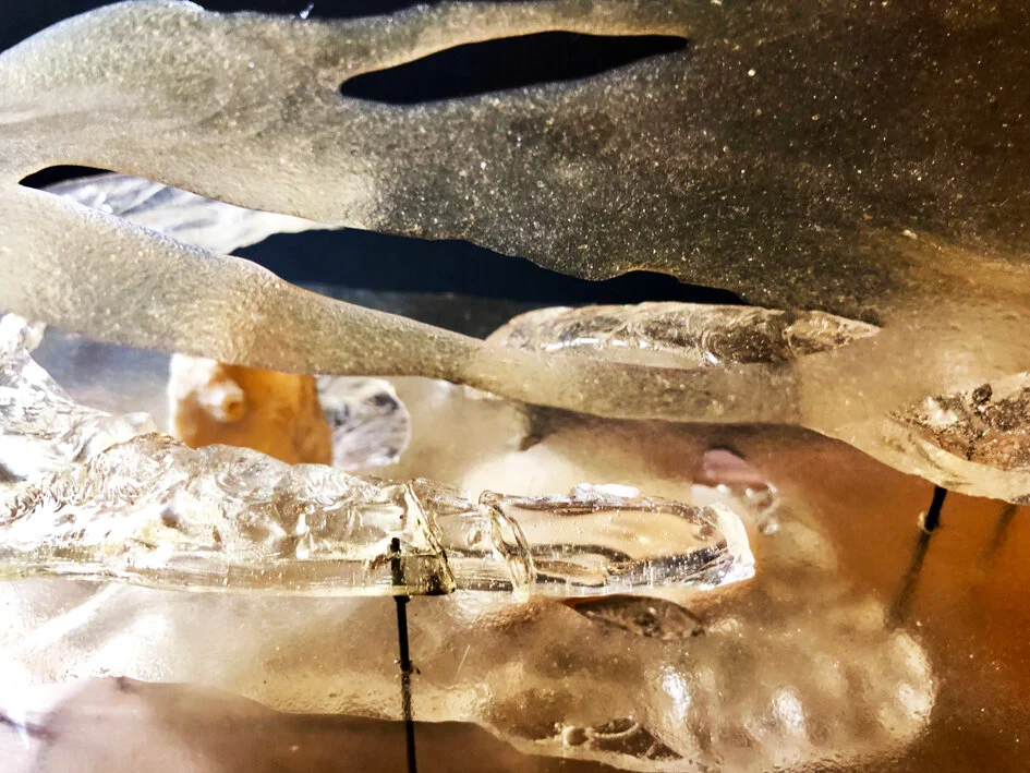 Year 2 Project 1: Exploring the 'Third Space' of the Whale