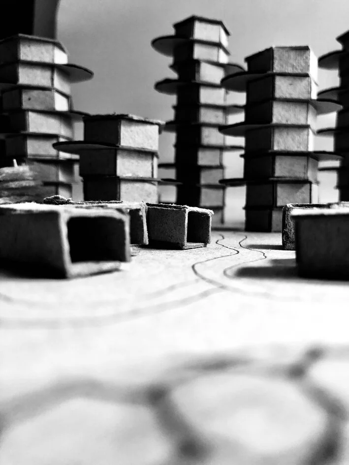 Housing scheme proposed by the students at the end of the week-long course.