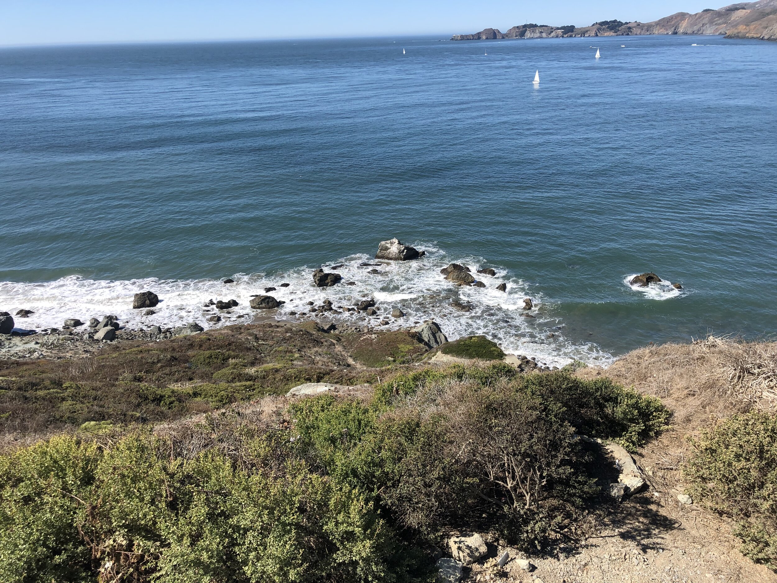 IMG_9668.jpeg