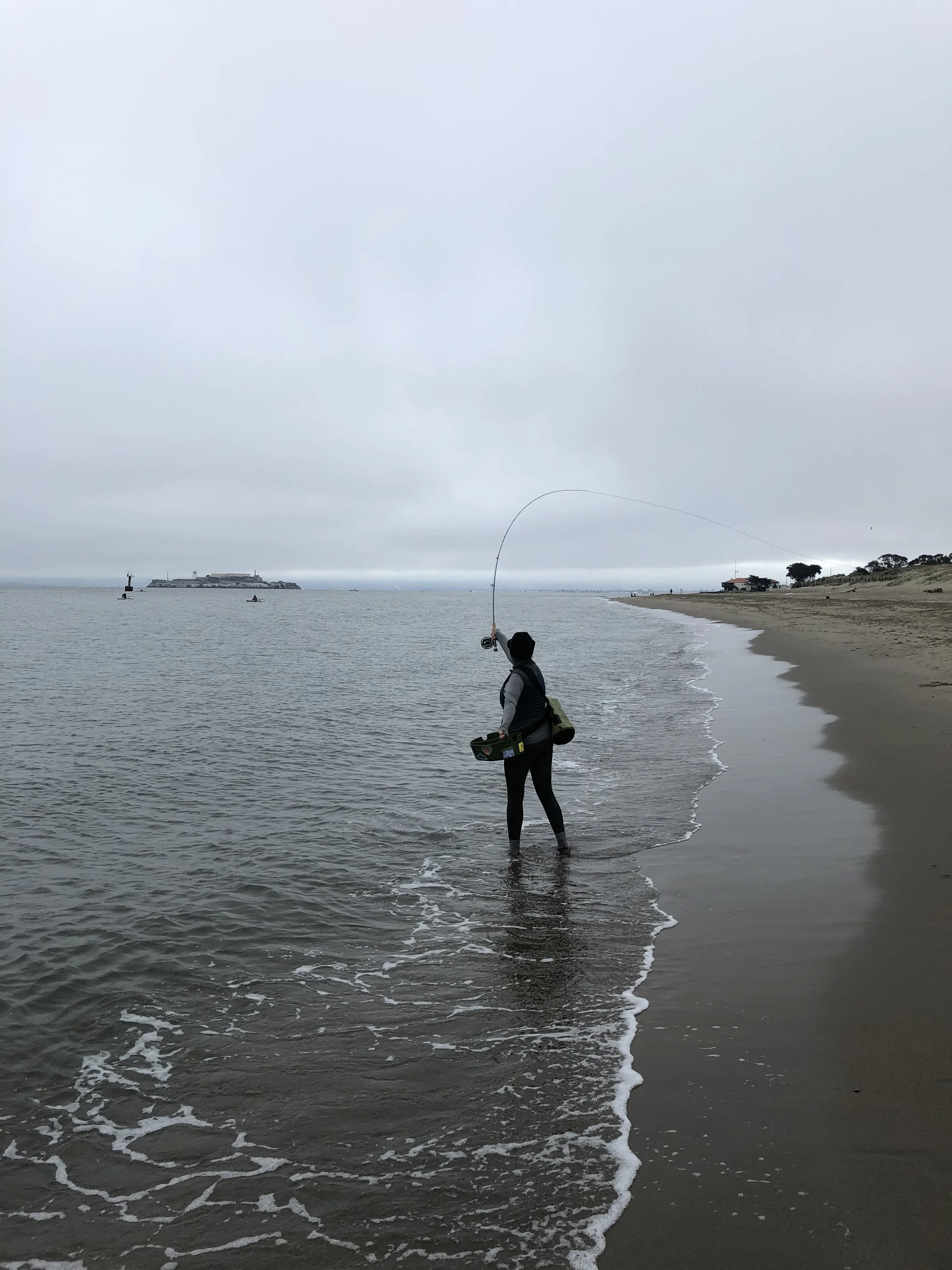IMG_5143.jpeg