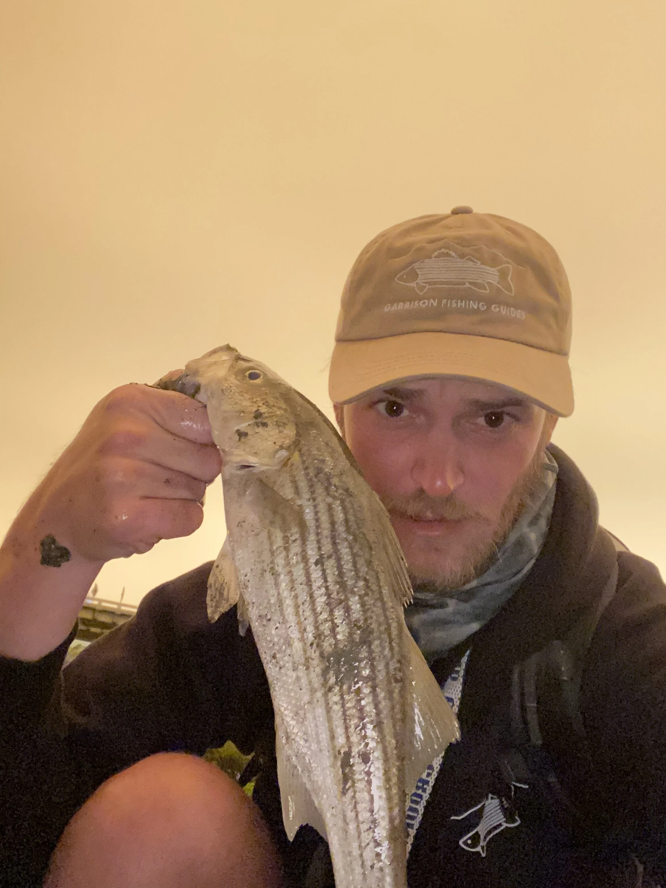 IMG_2202.jpeg