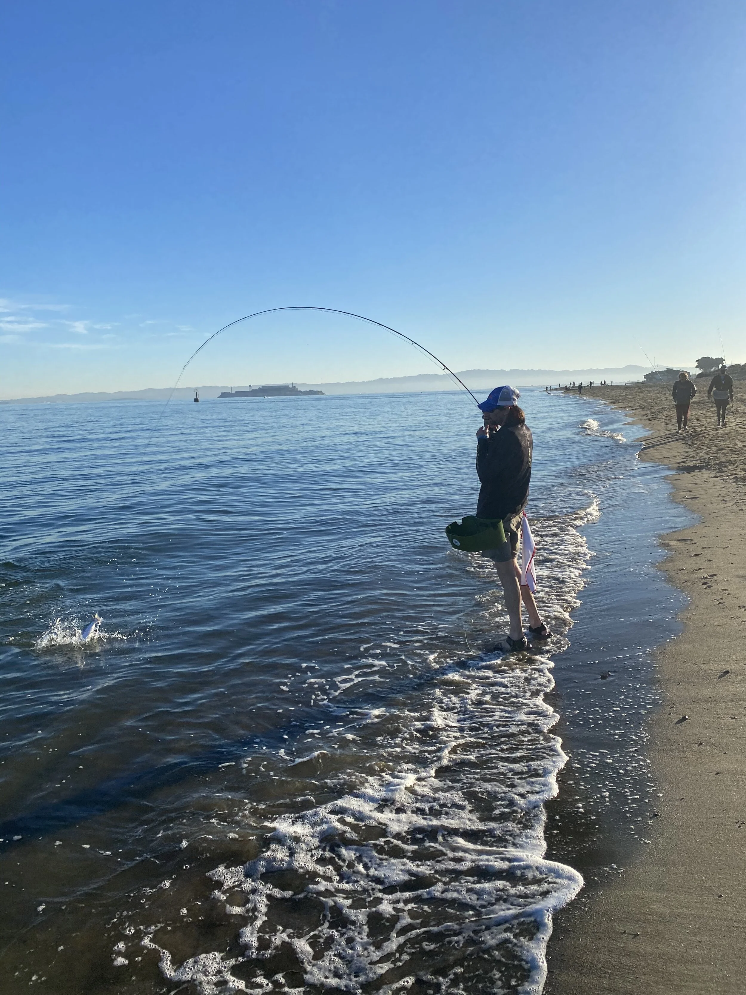 IMG_4007.jpeg