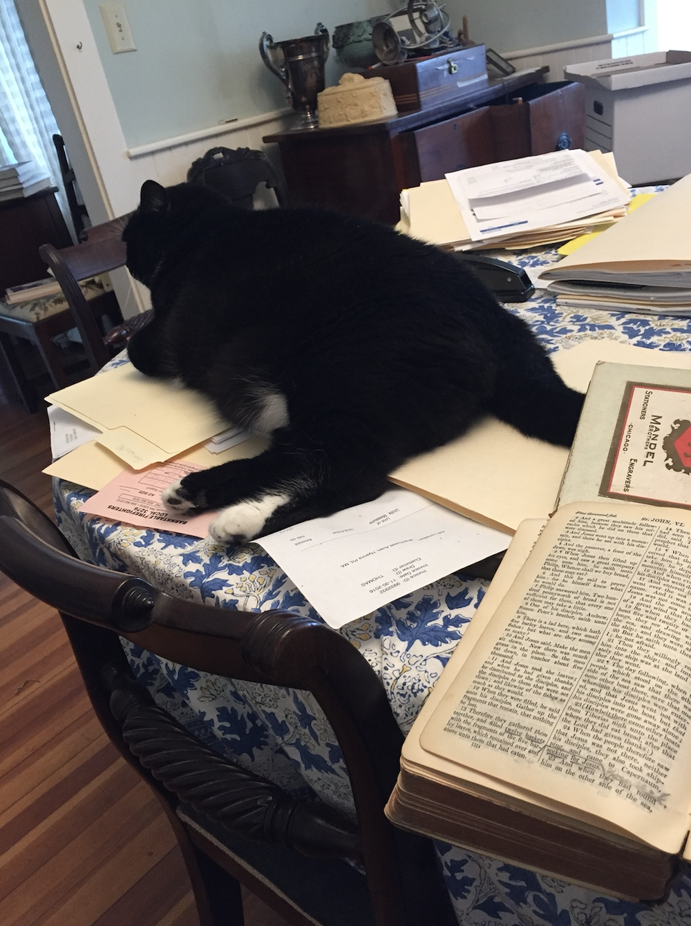 Screen Shot 2022-02-08 at 5.23.52 PM.png