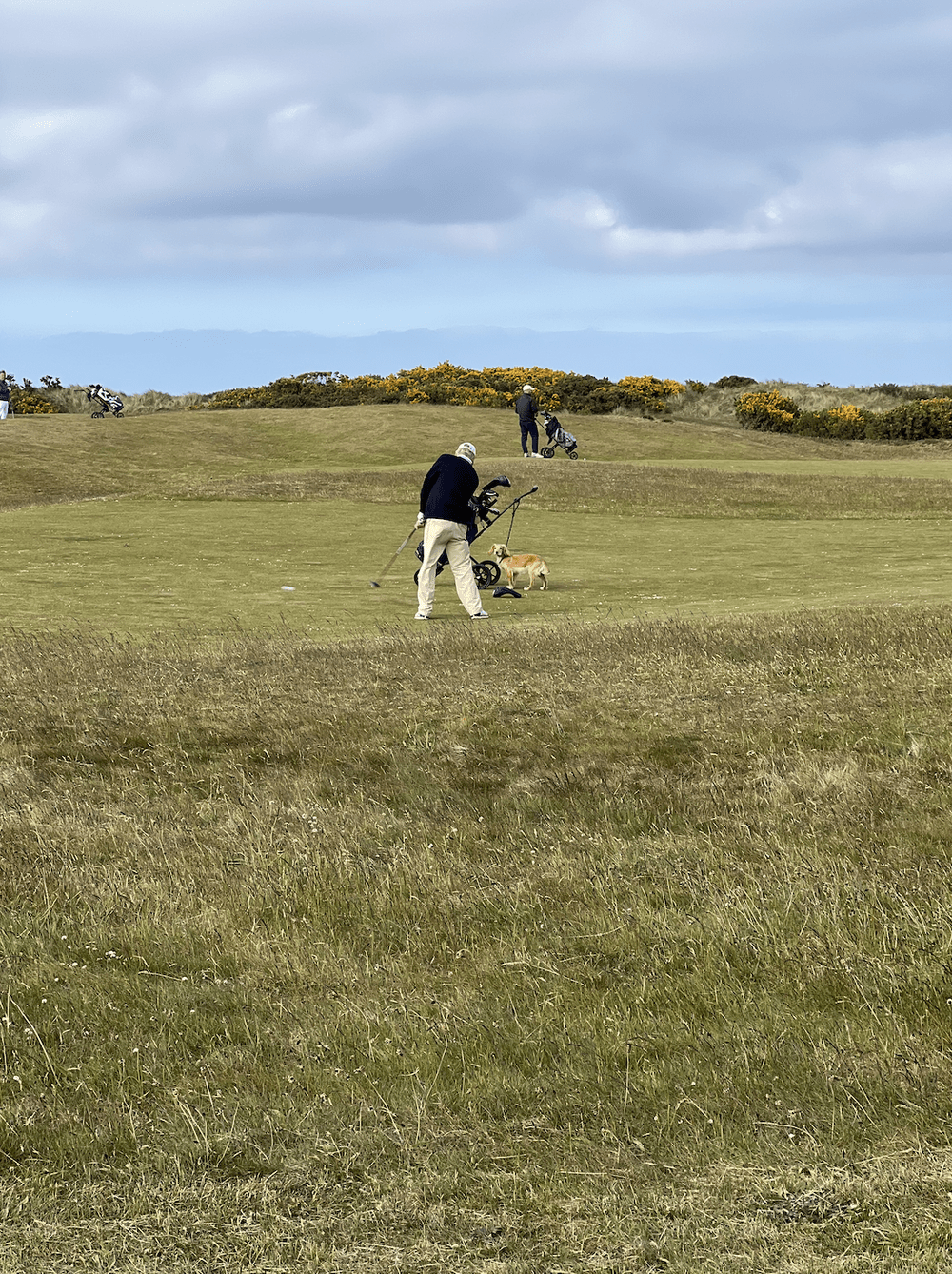 Screen Shot 2022-07-15 at 5.48.46 PM.png