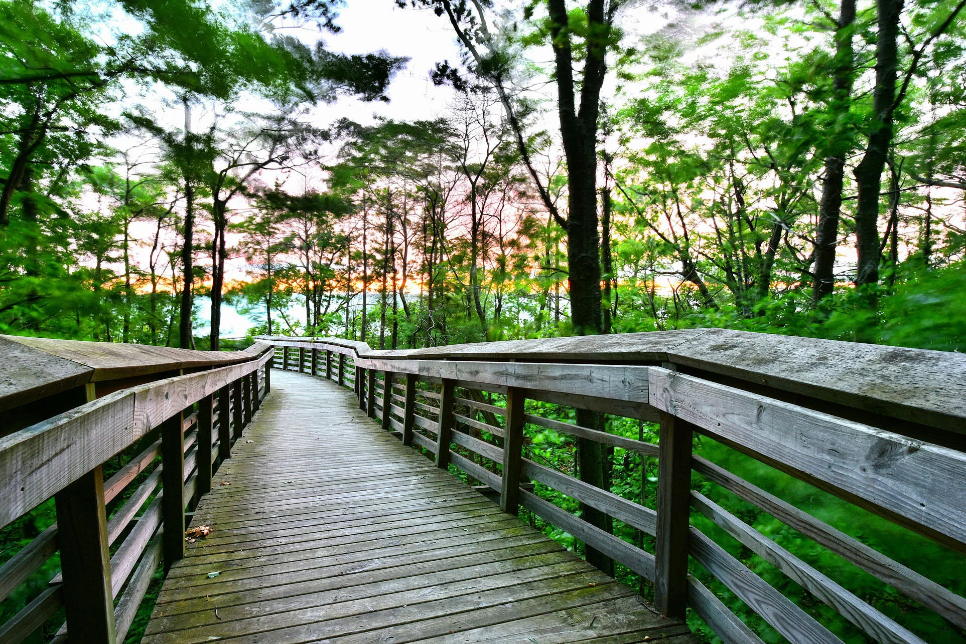 Path to Lake Michigan.JPG