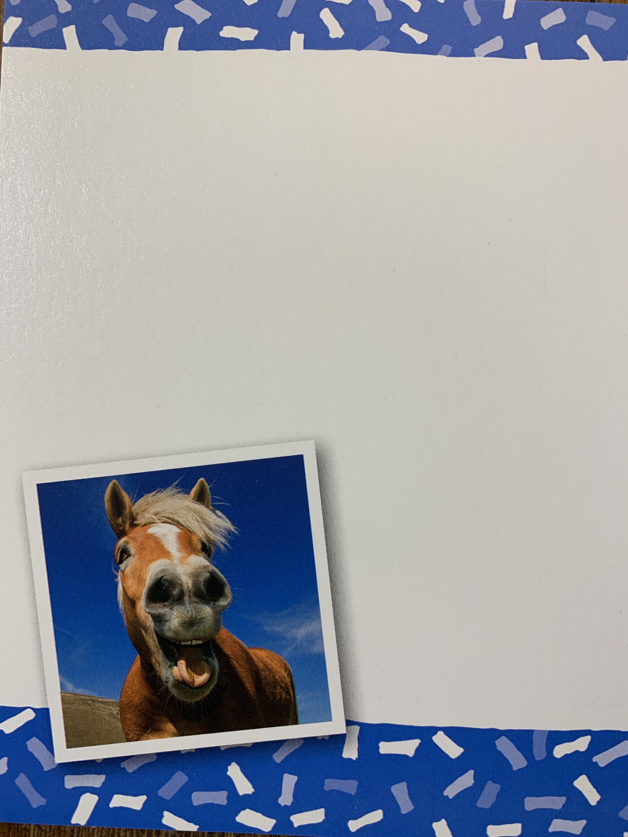 IMG_5282.jpeg