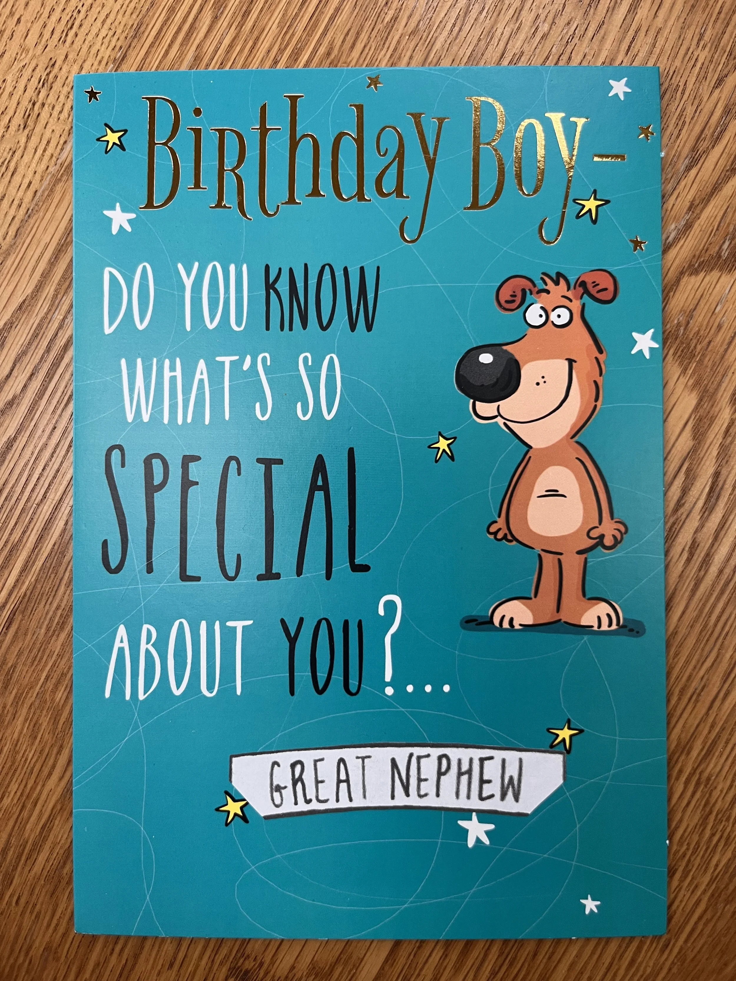 Great Nephew Birthday card