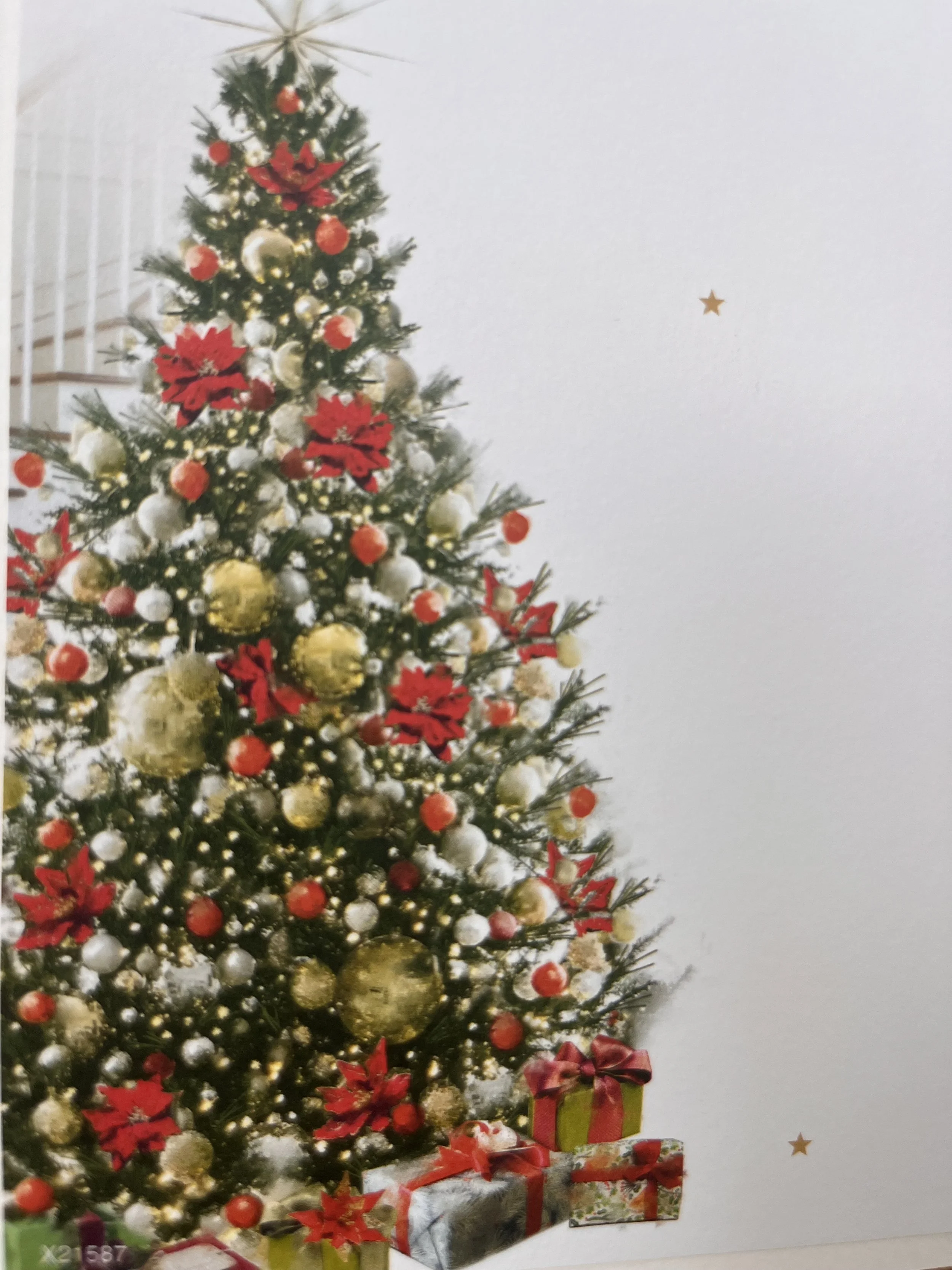 IMG_8812.jpeg