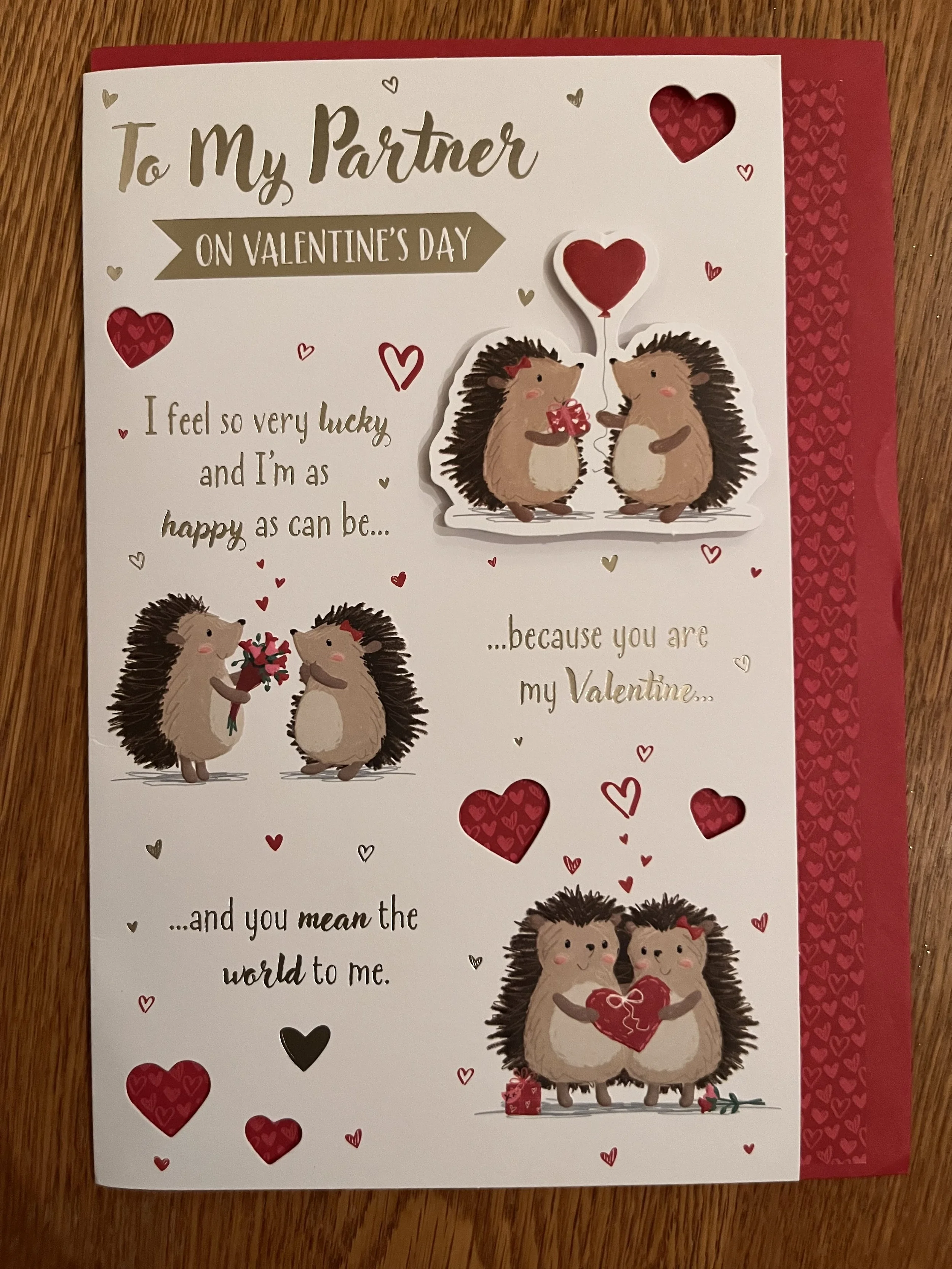 Partner Valentines  day  card