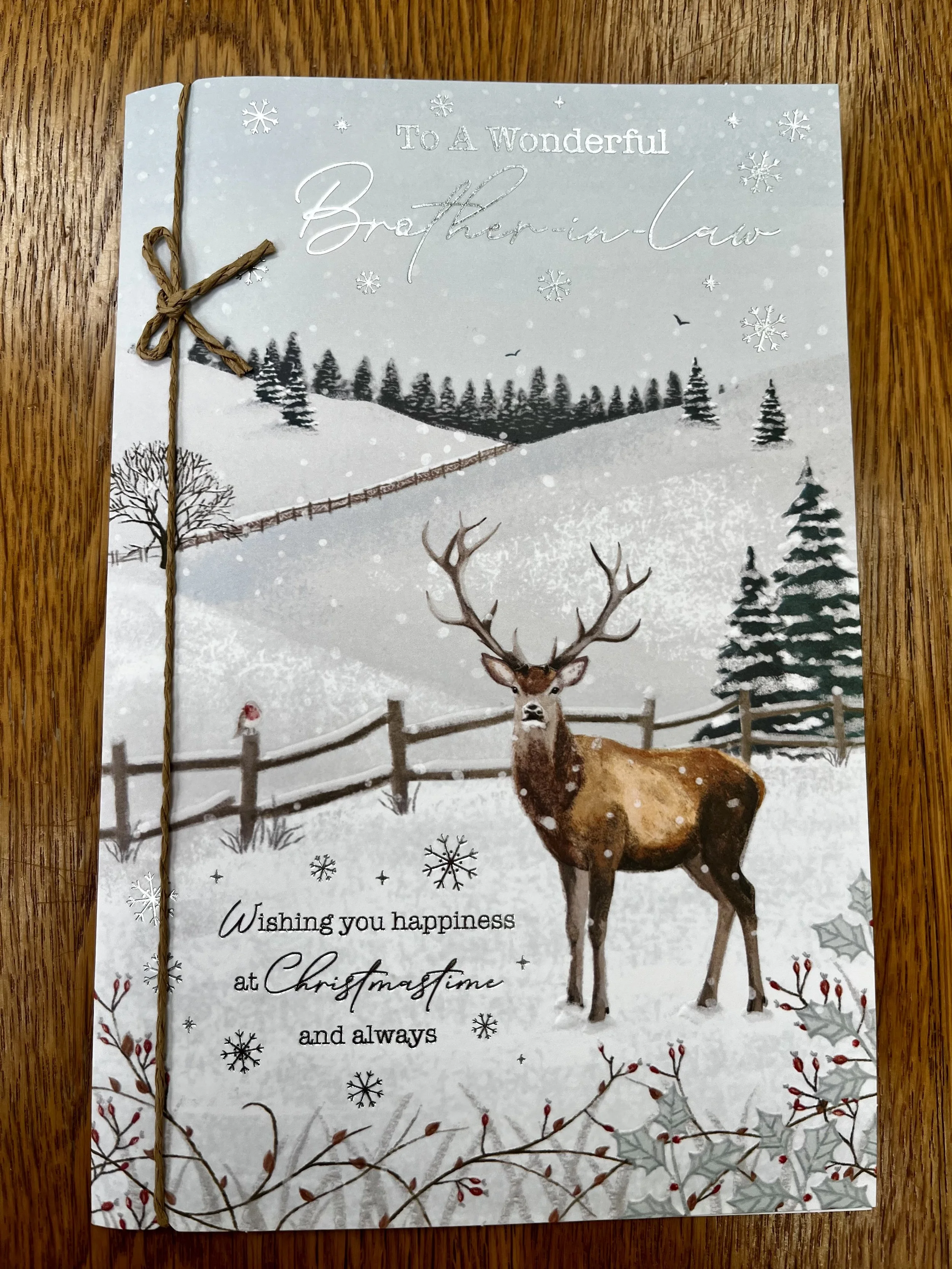 Brother in Law christmas card