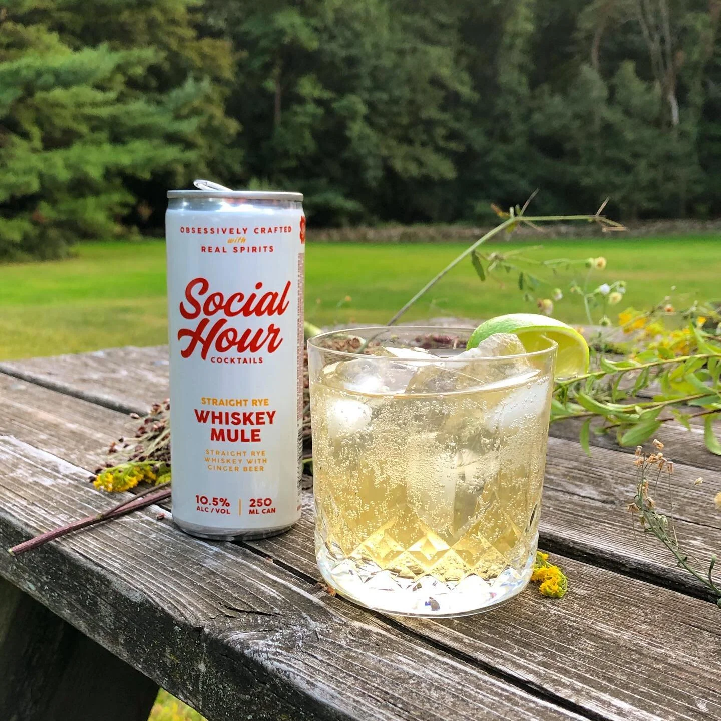 Happy fall equinox!  It is officially Whiskey season (but really when is it not?). 

We are honored to be using  Ragtime Rye made by @nydistilling as the base of our Whiskey Mule. It is a spectacular Straight Rye whiskey made from a blend of 3-6 year