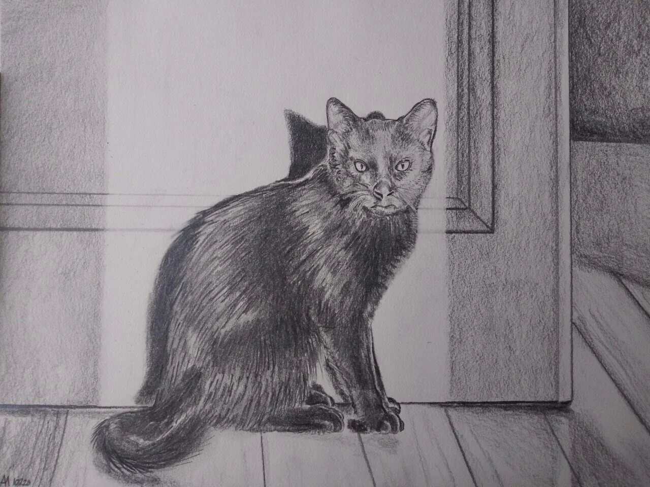 BLACK CAT