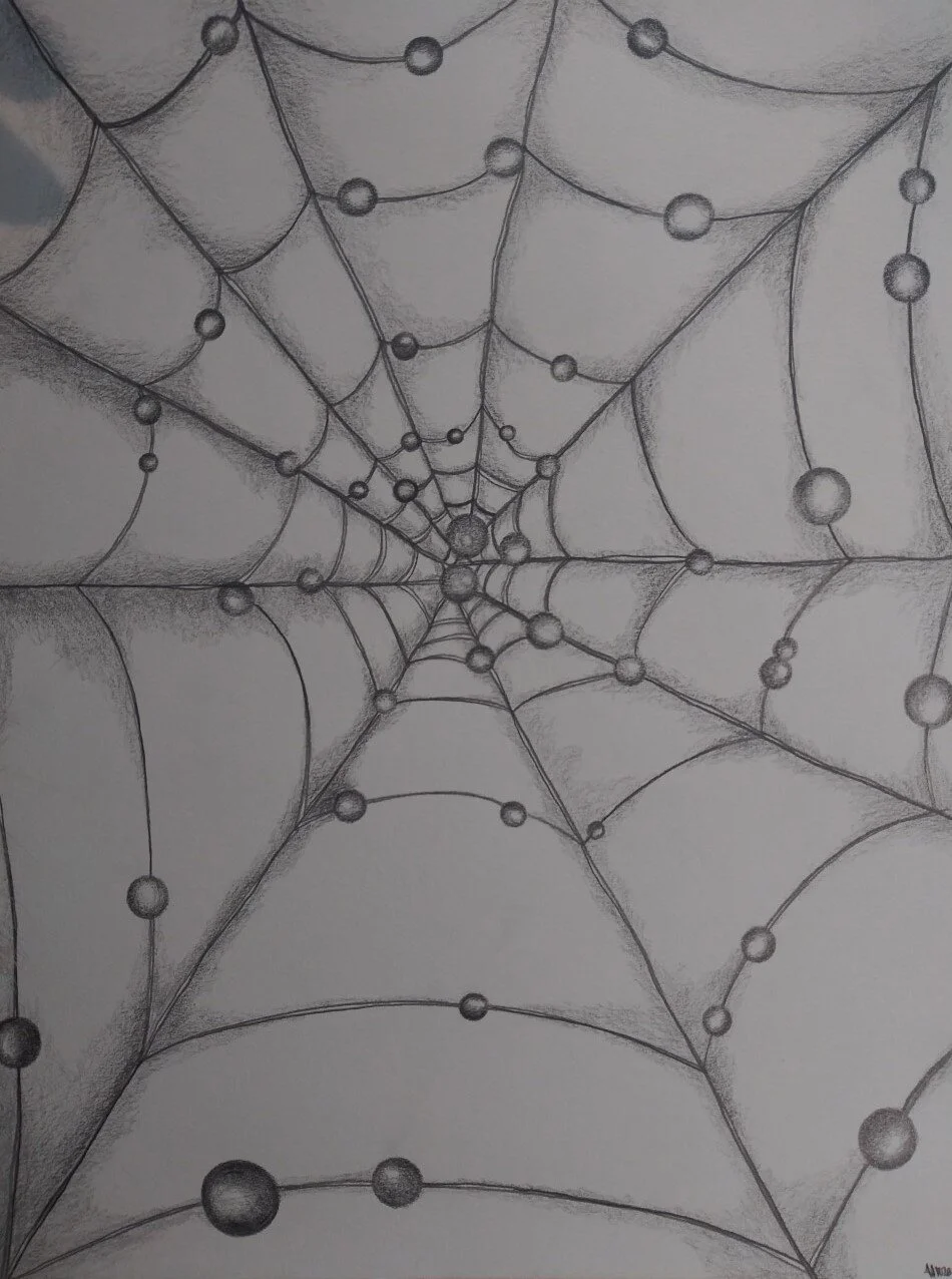 SPIDER WEBS