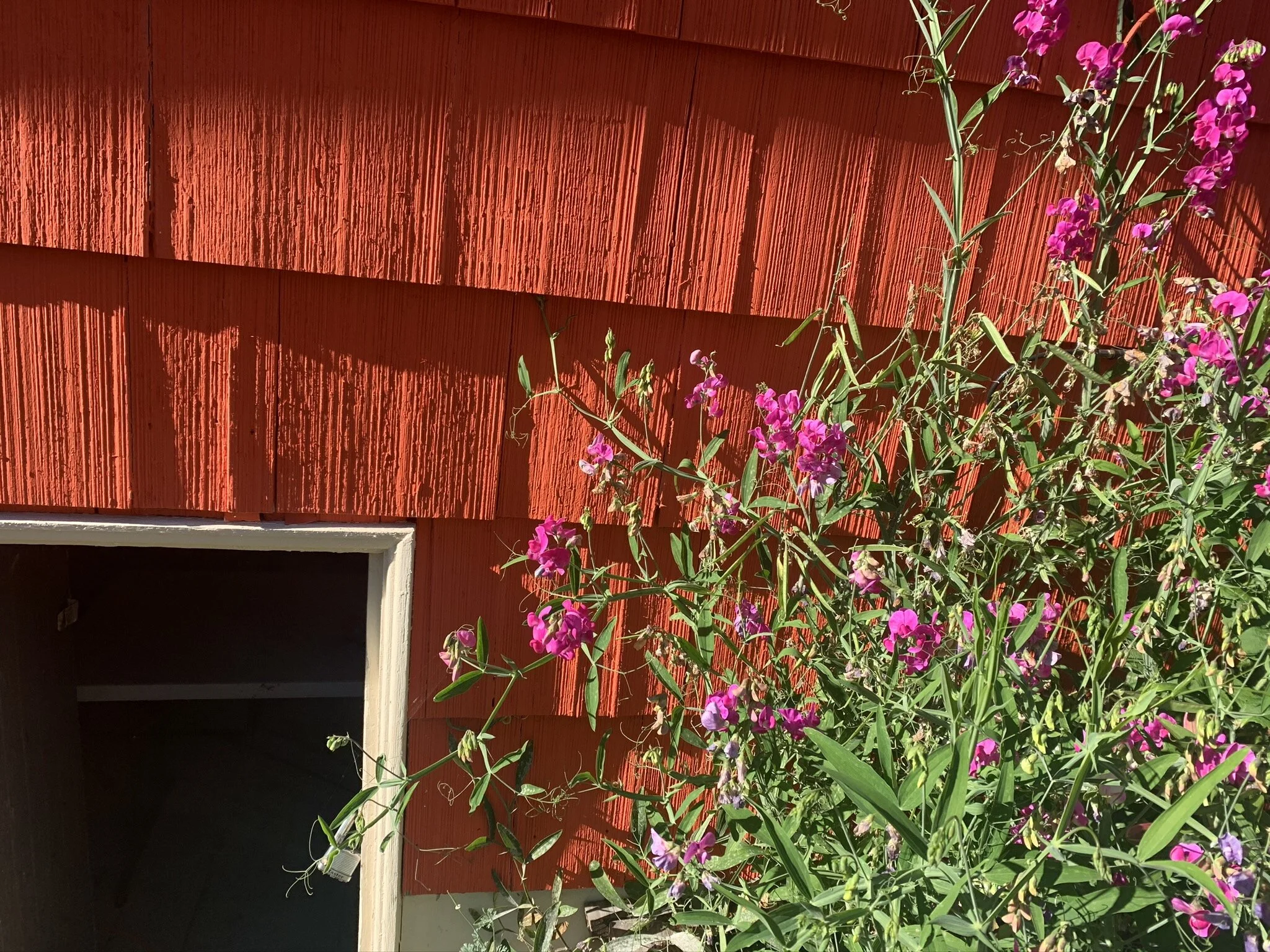 Episode 1: Meaningful conversation?