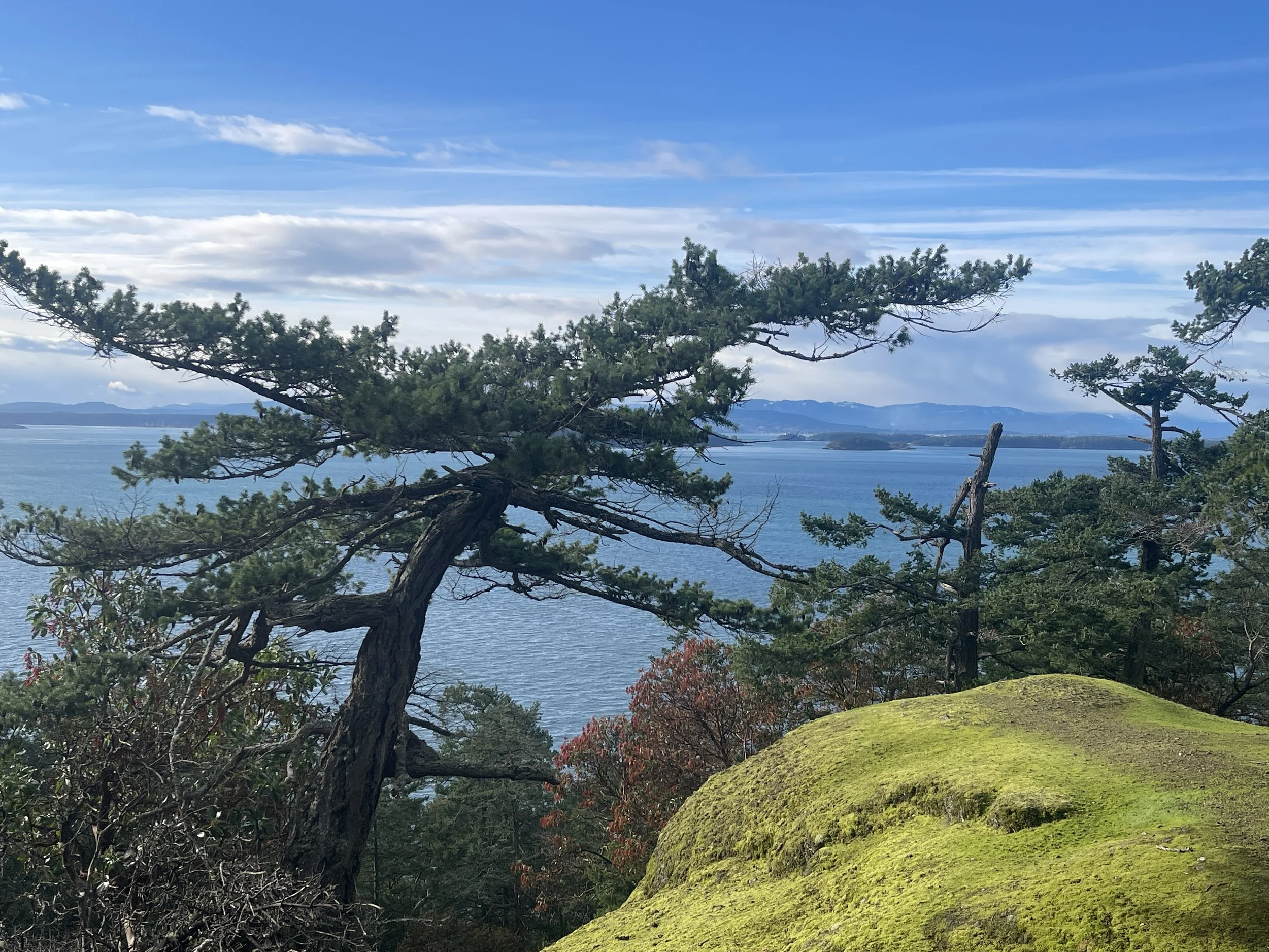 Hard Problem (article)