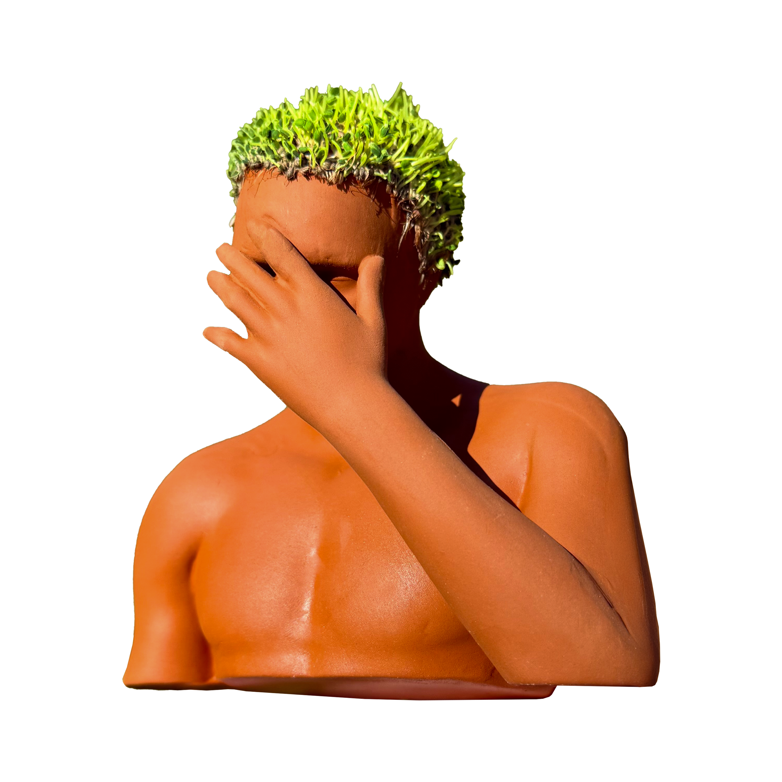 1CFD0E81-1362-4D86-B76B-909AC01F2B58.png