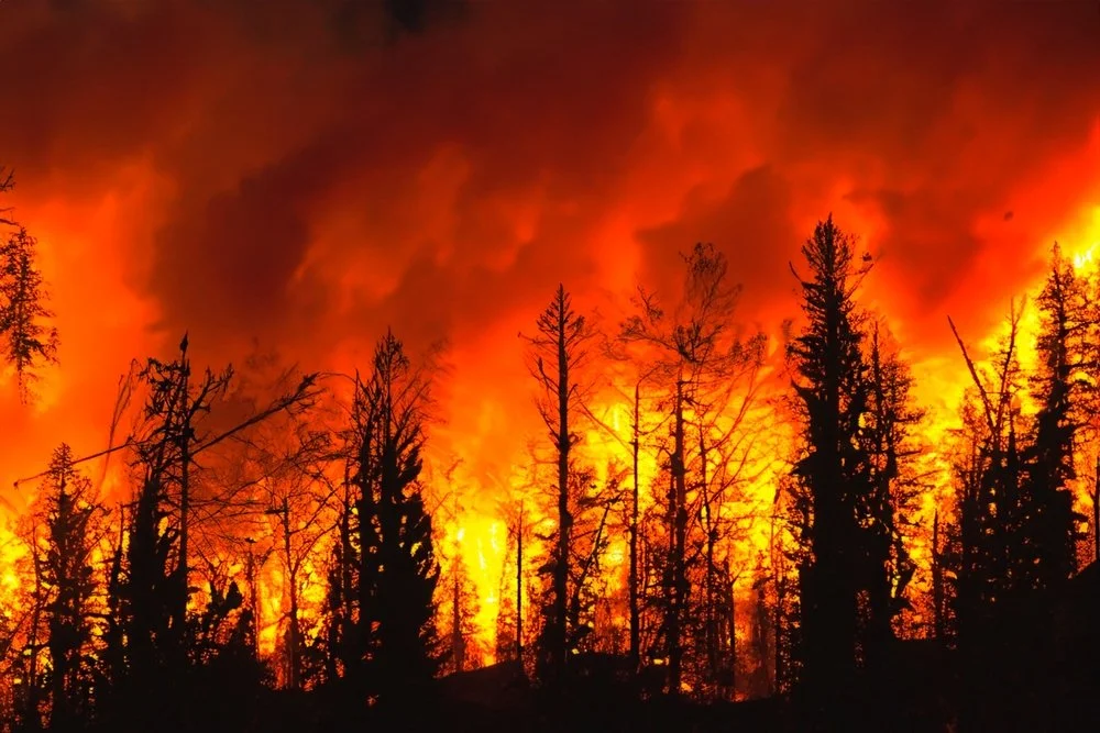 California’s Wildfires, Care for Creation, and Your Pocketbook