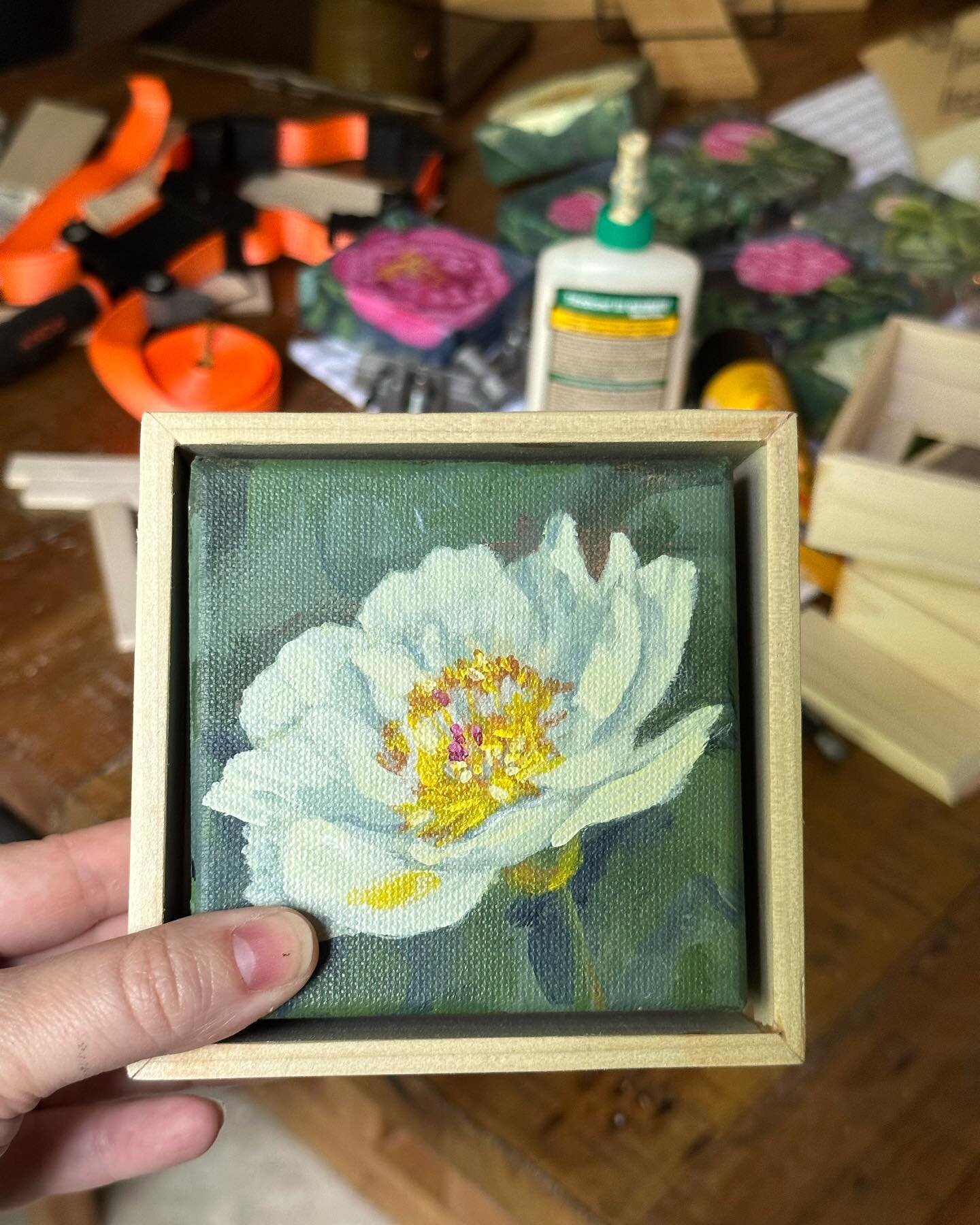 I&rsquo;ve figured out how to make my own floater frames for these tiny minis for this weekend! And I&rsquo;m LOVING these yellow Itoh peonies! I think that&rsquo;s what they are called&mdash; please enlighten me if not!! All of these beauties will b