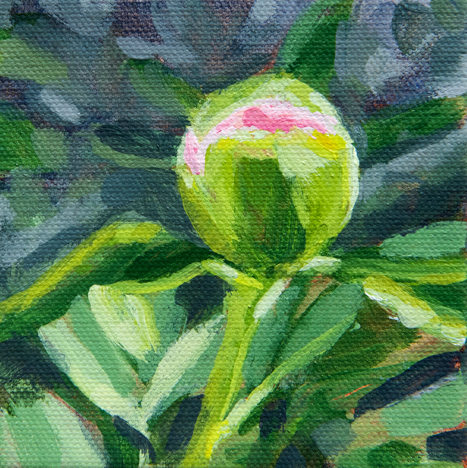Festival Peonies No. 02, 4x4", acrylic on canvas, SOLD