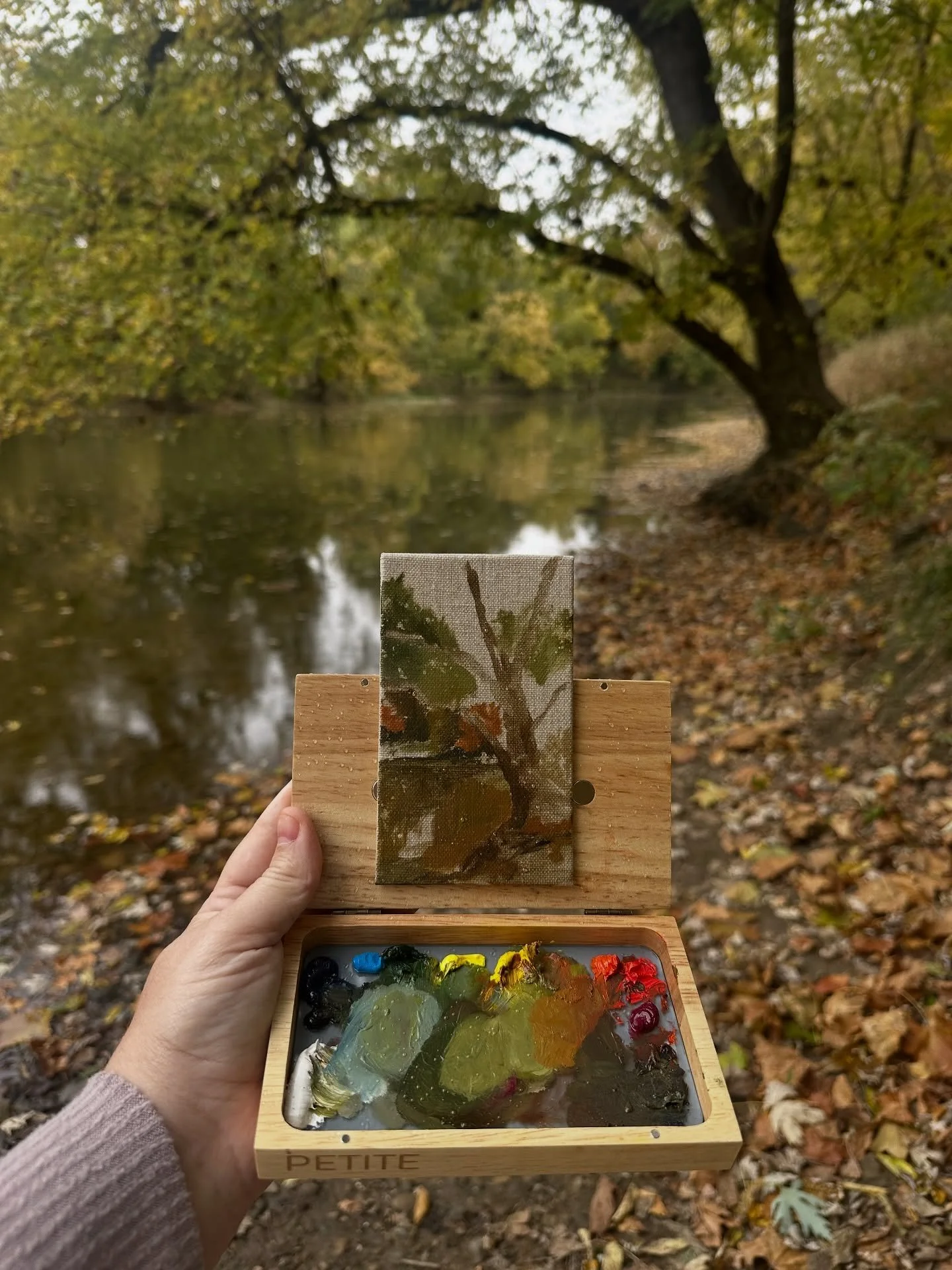 A little 15 minute color study (I had to quit bc it started raining). 🍁🍂

This is my second time out with this little @petite_paintbox  palette and I&rsquo;m in love. This is not sponsored..I just love Plein air and also adore tiny things, so it&rs