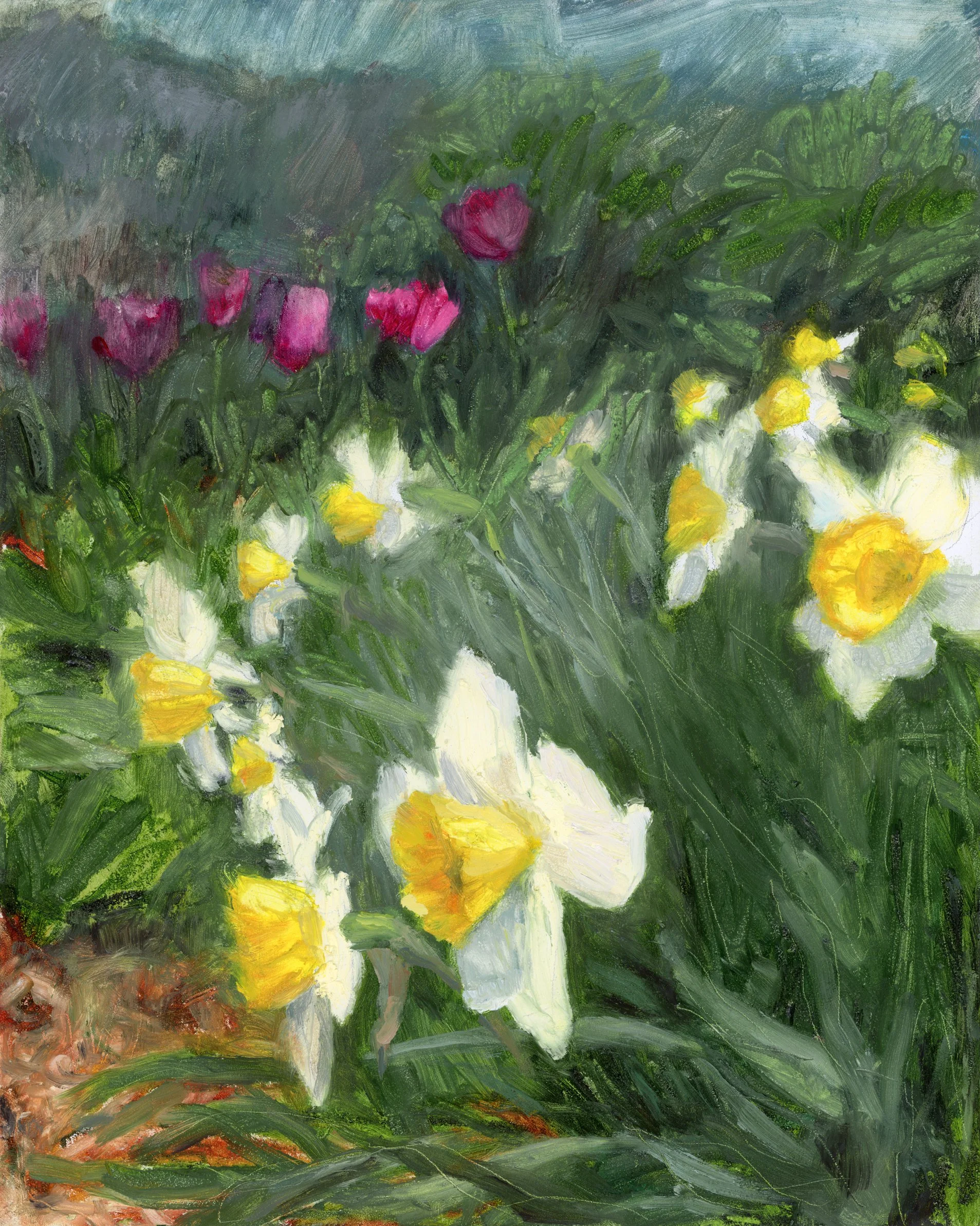 DaffodilsandTuplips.jpg