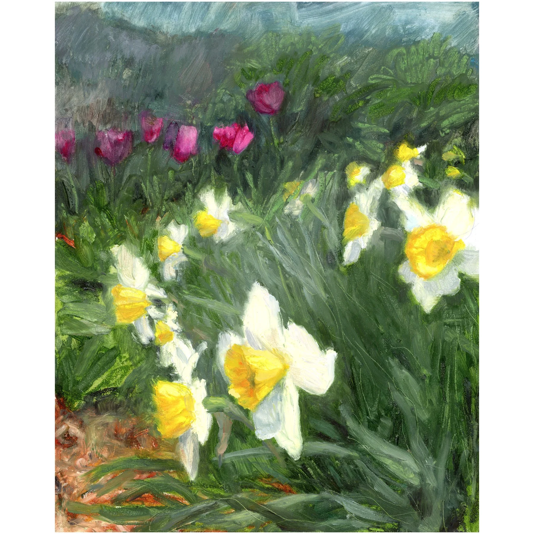 DaffodilsandTuplips.jpg