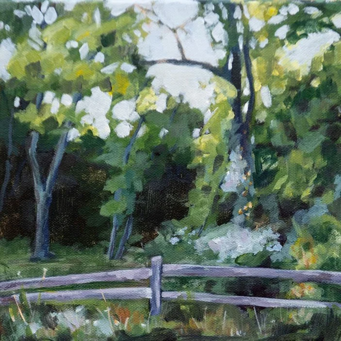 Over the Fence, 8x8", acrylic on canvas, SOLD