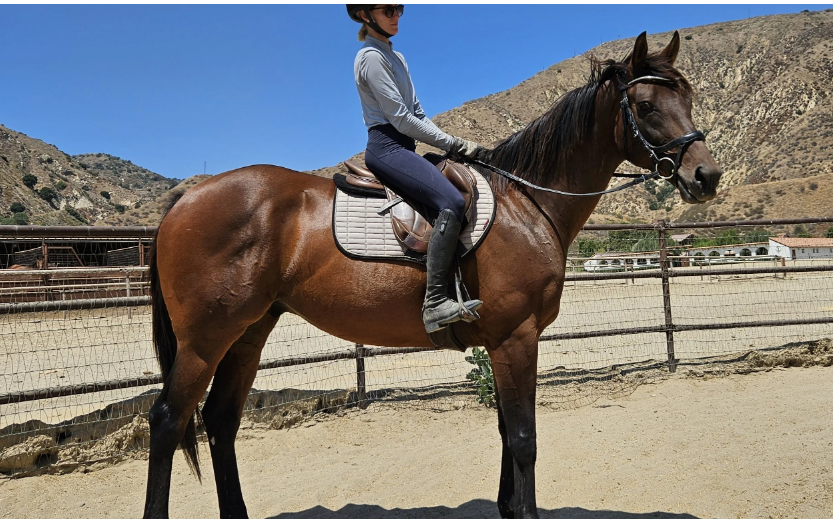 Screen Shot 2025-10-29 at 7.06.55 PM.png