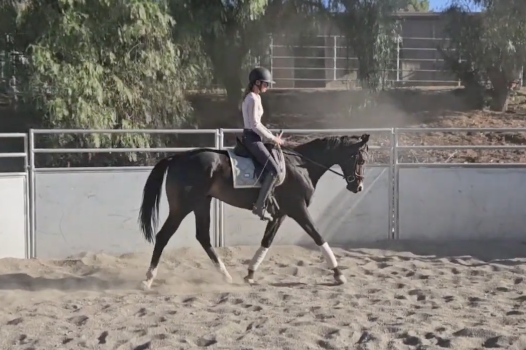 Screenshot 2025-10-26 at 10.04.18 AM.png