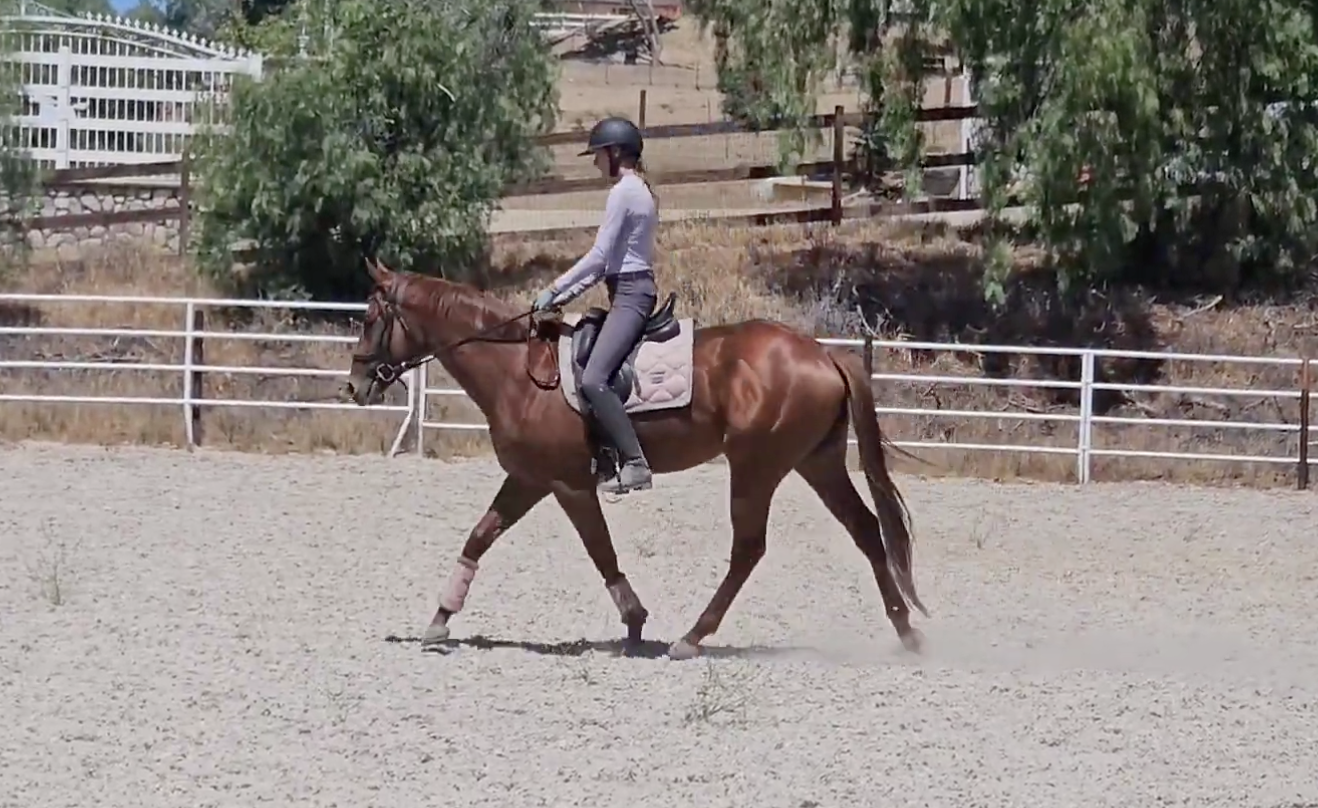 Screenshot 2025-10-26 at 10.17.42 AM.png