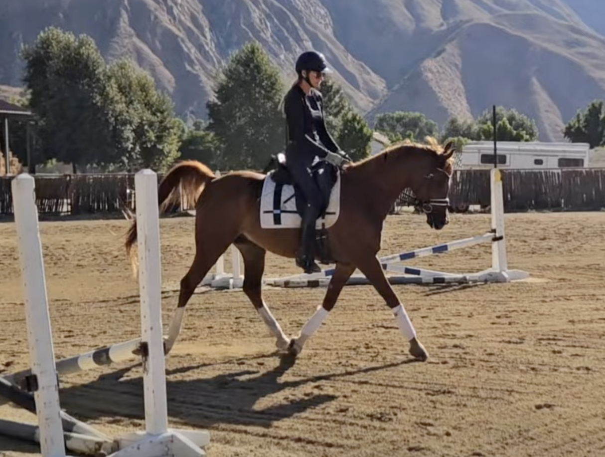 Screenshot 2025-12-15 at 10.21.12 AM.png