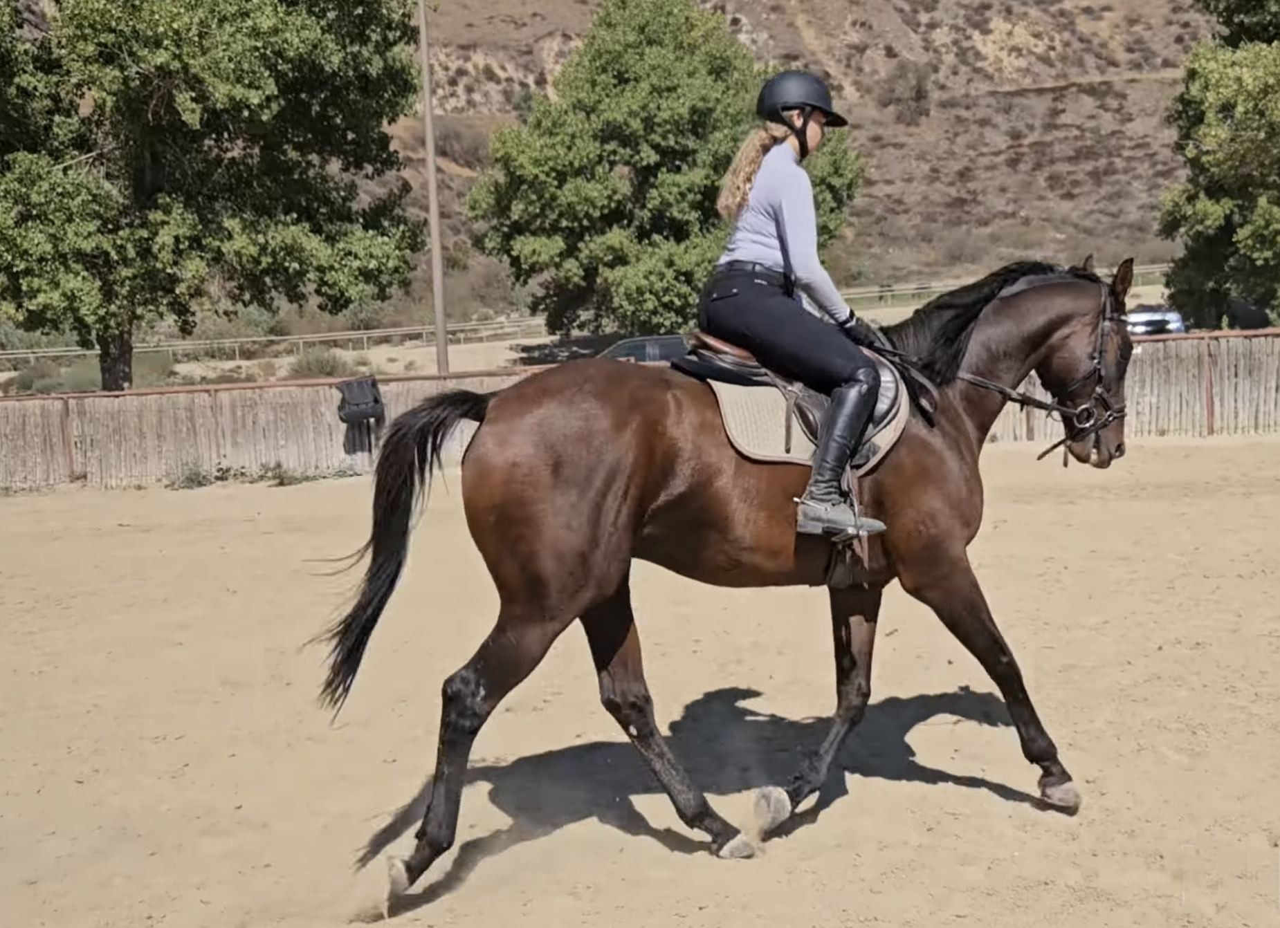 Screen Shot 2025-10-29 at 4.29.44 PM.png