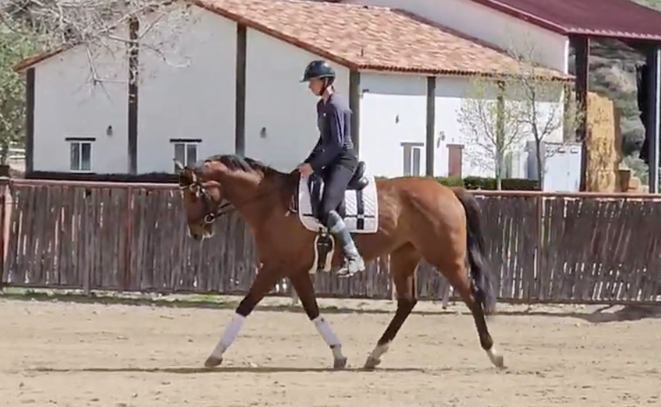 Screenshot 2025-12-10 at 8.01.13 PM.png