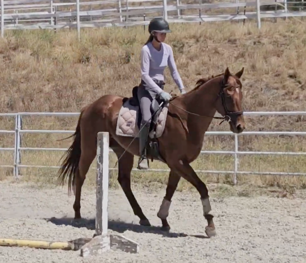 Screenshot 2025-10-26 at 10.16.12 AM.png