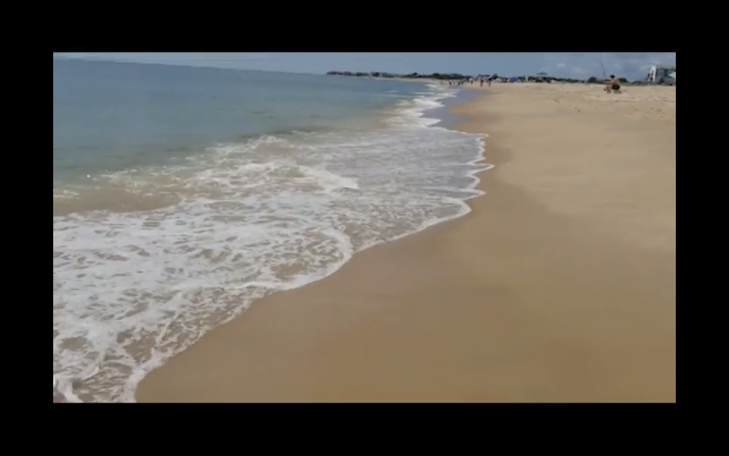 Massachusetts Shore