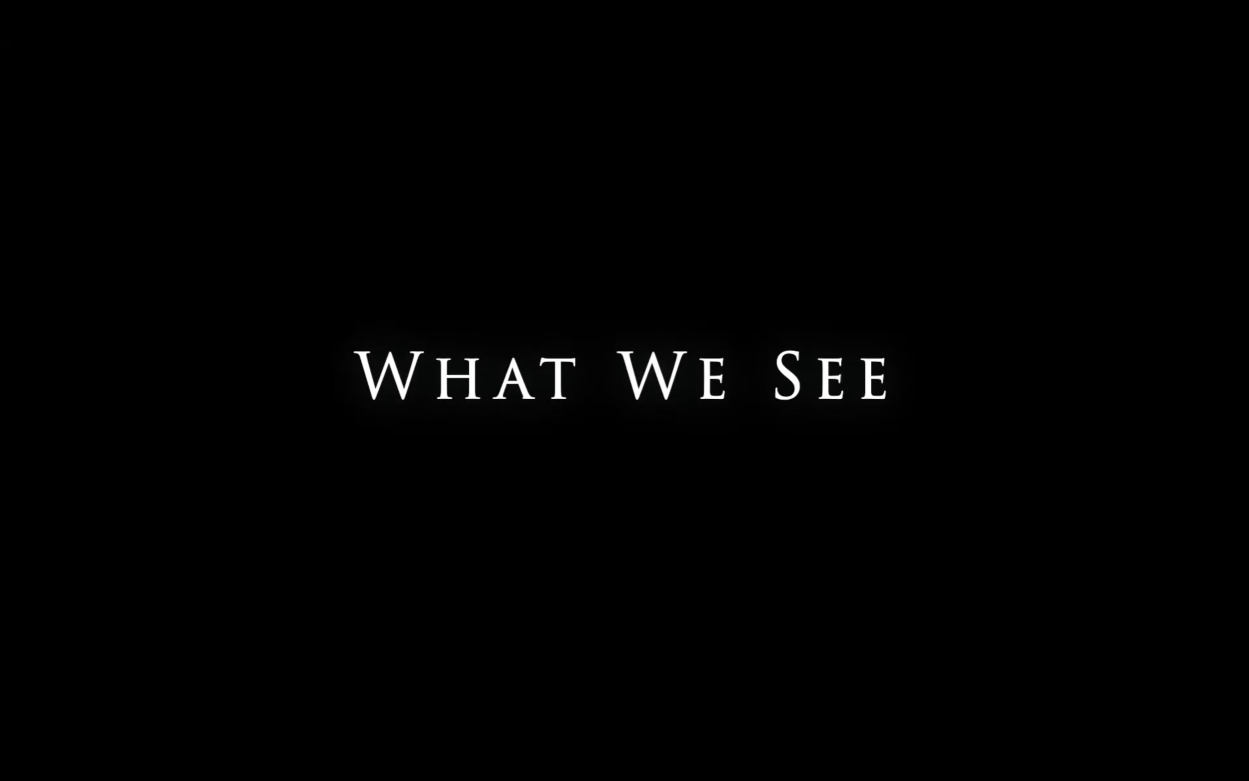 What We See