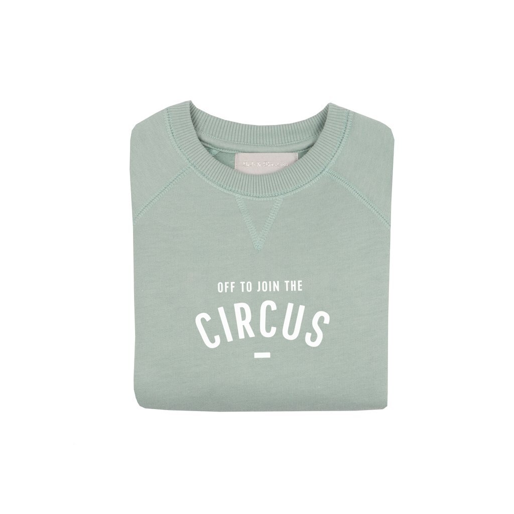Sage_Circus_Sweatshirt_FOLDED_1024x1024.jpg