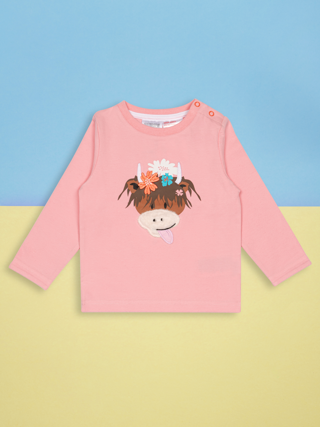 AW24Bonnie Highland CowTOP.png