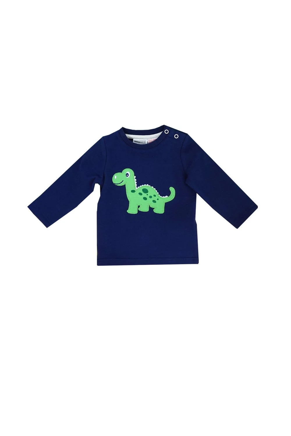 maple the dino flat shot.jpeg