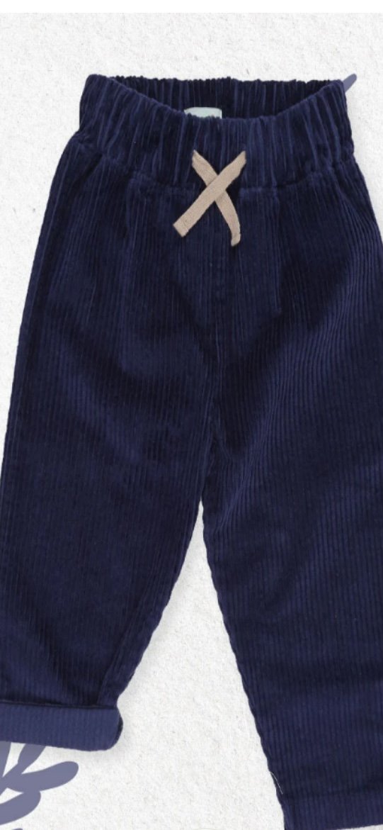 NAVY CORD TROUSER