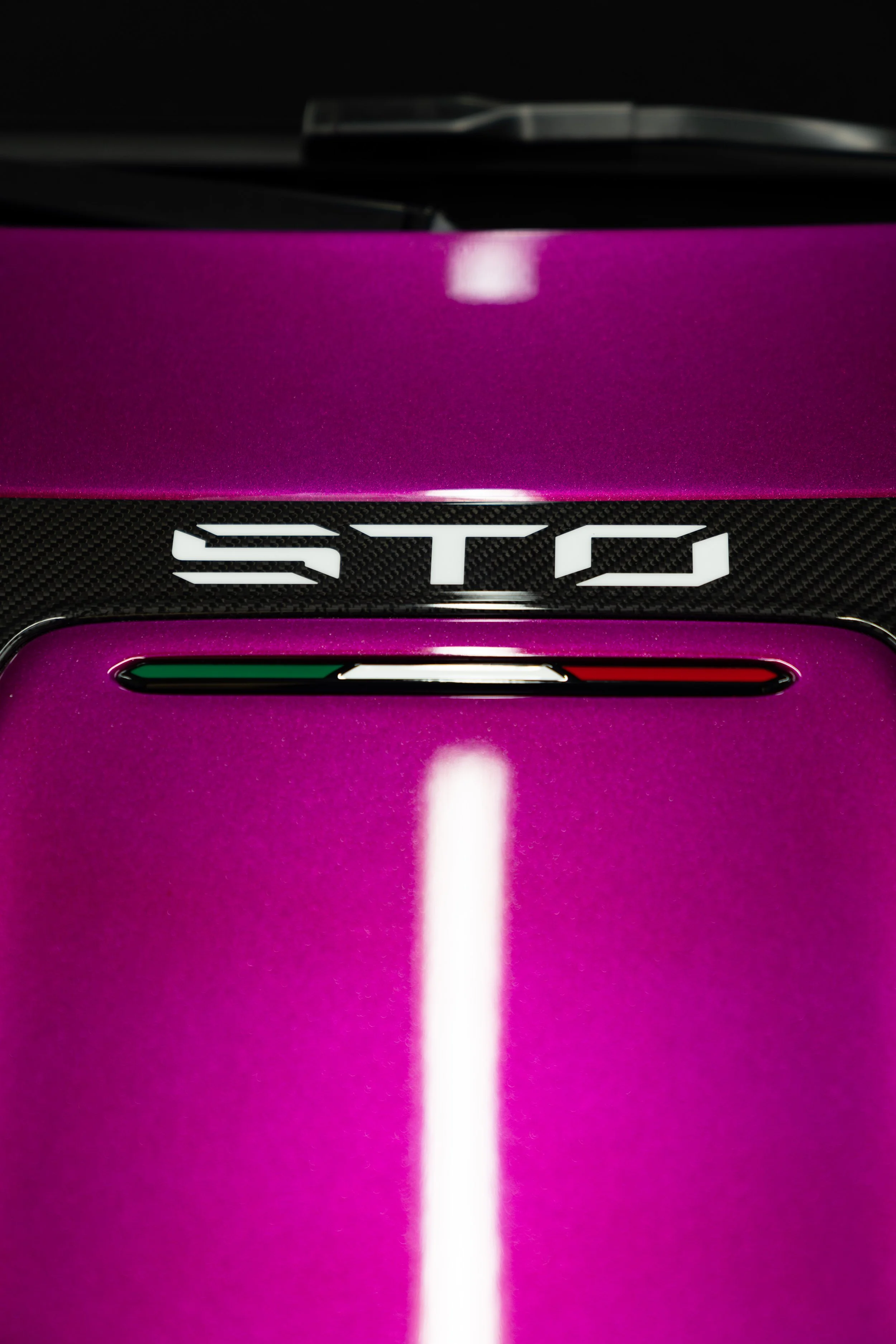 Viola Bast STO-100.jpg