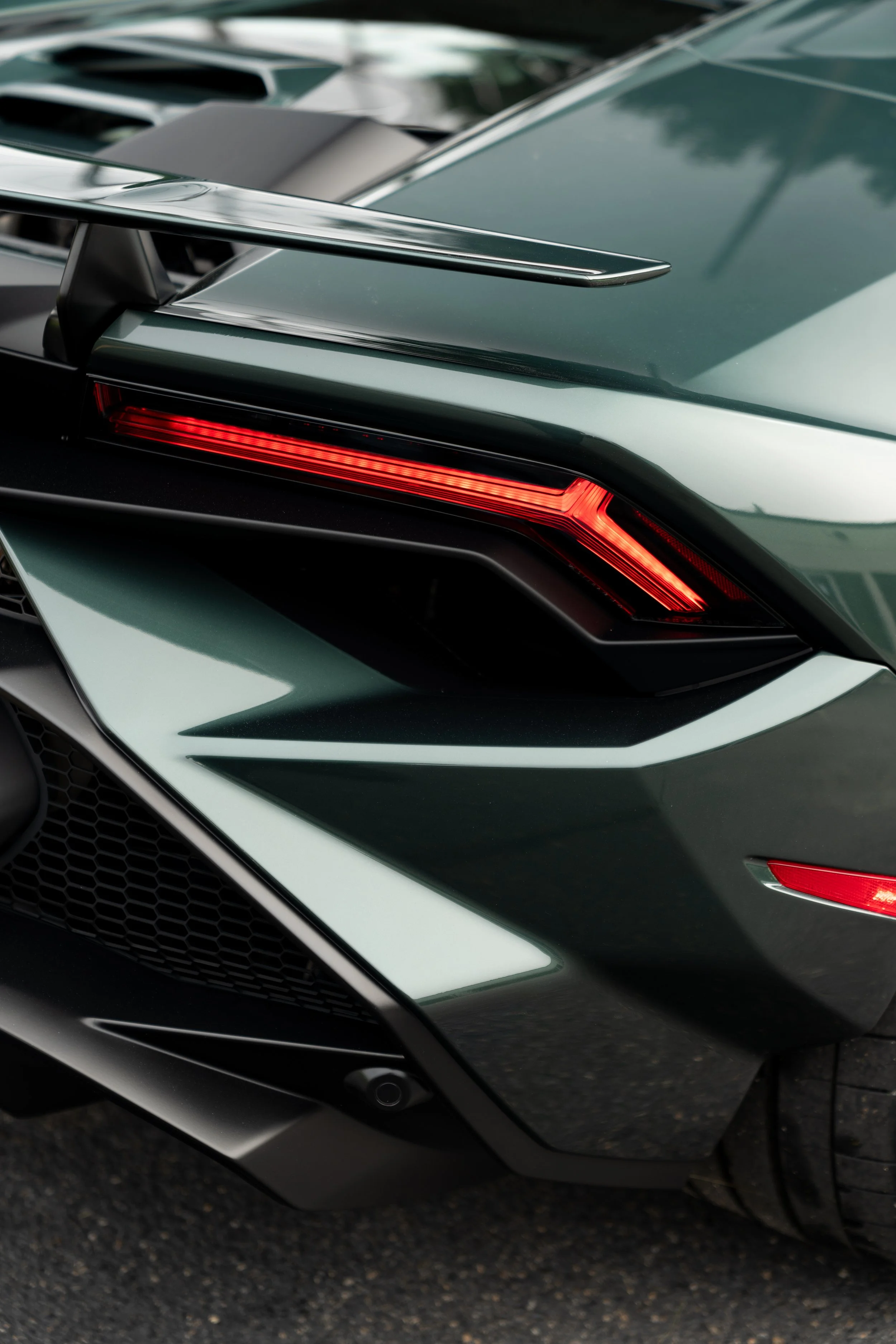 Verde Lares Tecnica-19.jpeg