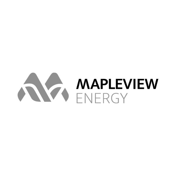 Mapleview Energy, Canadian Startup, Startups, Entrepreneurship, Energy Company, Clean Tech, EV Batteries
