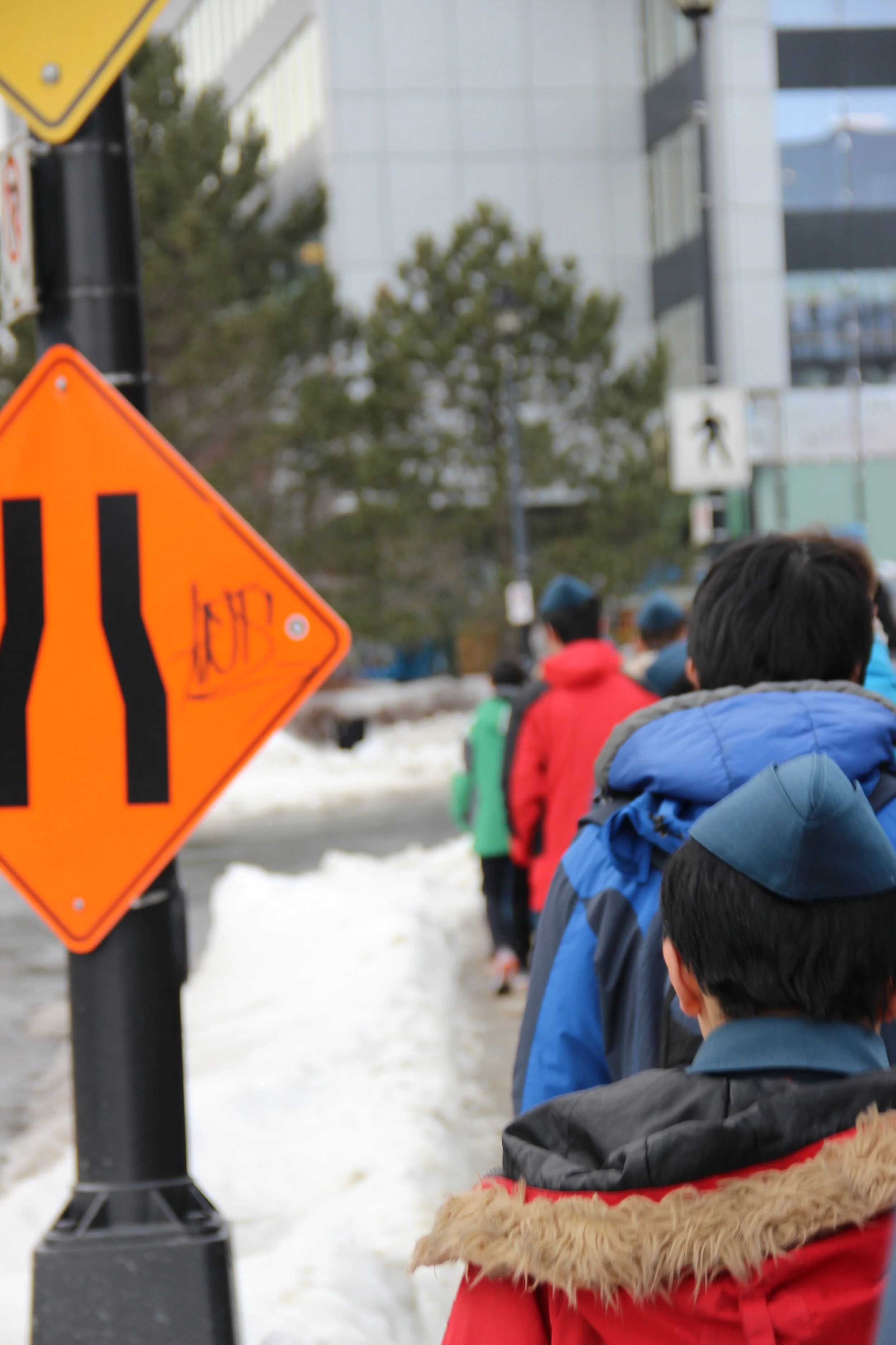 Copy of IMG_5452.JPG