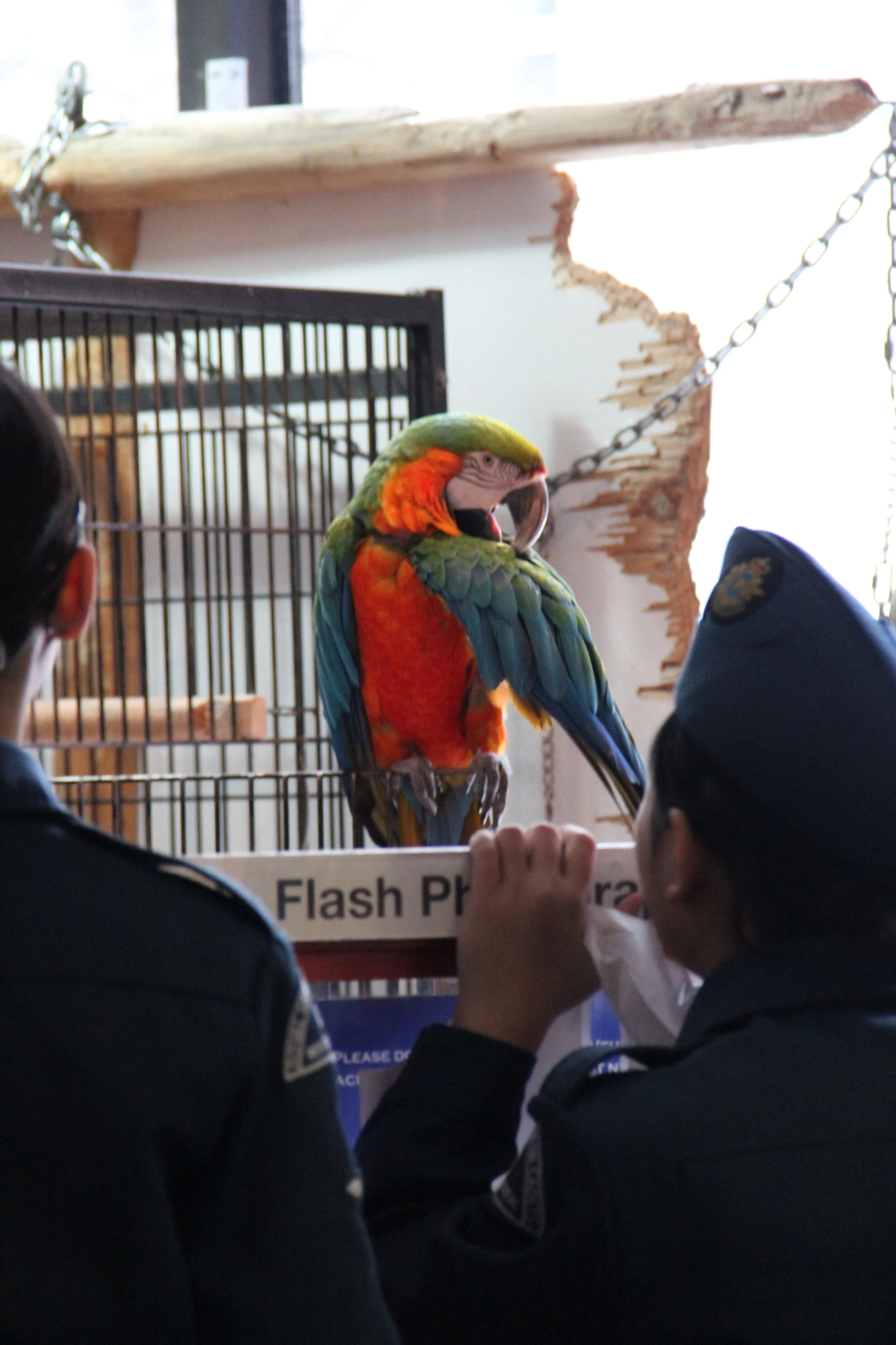 Copy of IMG_5522.JPG